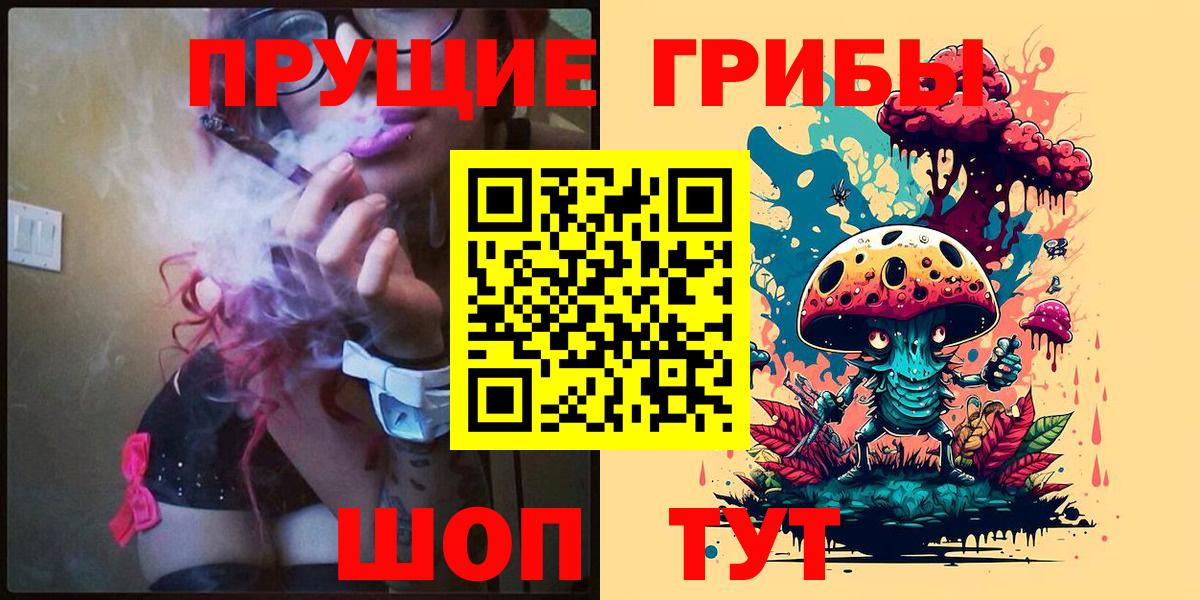 Псилоцибиновые грибы Psilocybe  Вход с VPN  Псилоцибиновые грибы Psilocybe  Асбест 