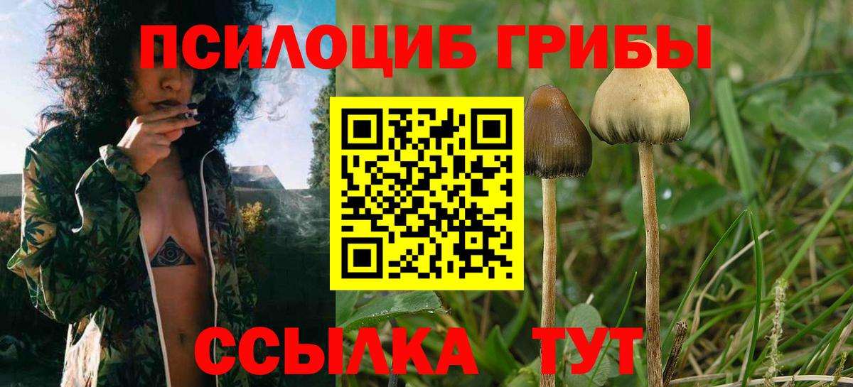 Псилоцибиновые грибы Magic Shrooms Асбест